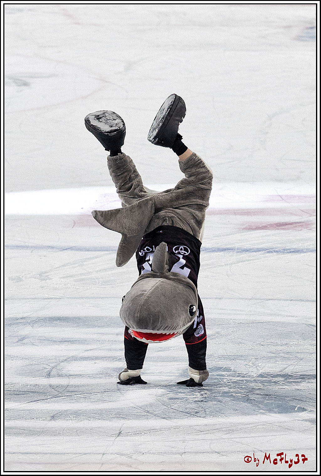PENNY DEL WINTER GAME;  Kölner Haie - Adler Mannheim; Köln, 03.12.2022